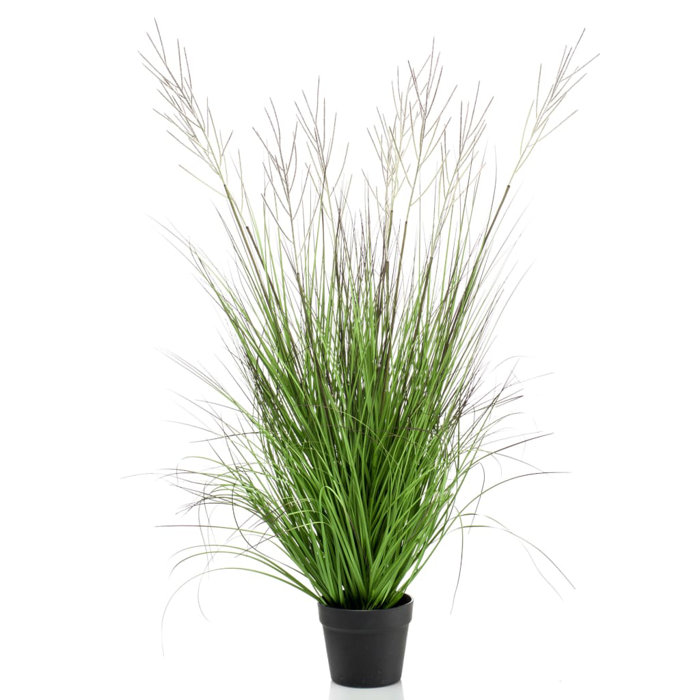 The Seasonal Aisle 105cm Artificial Pampas Grass in Pot Wayfair.co.uk